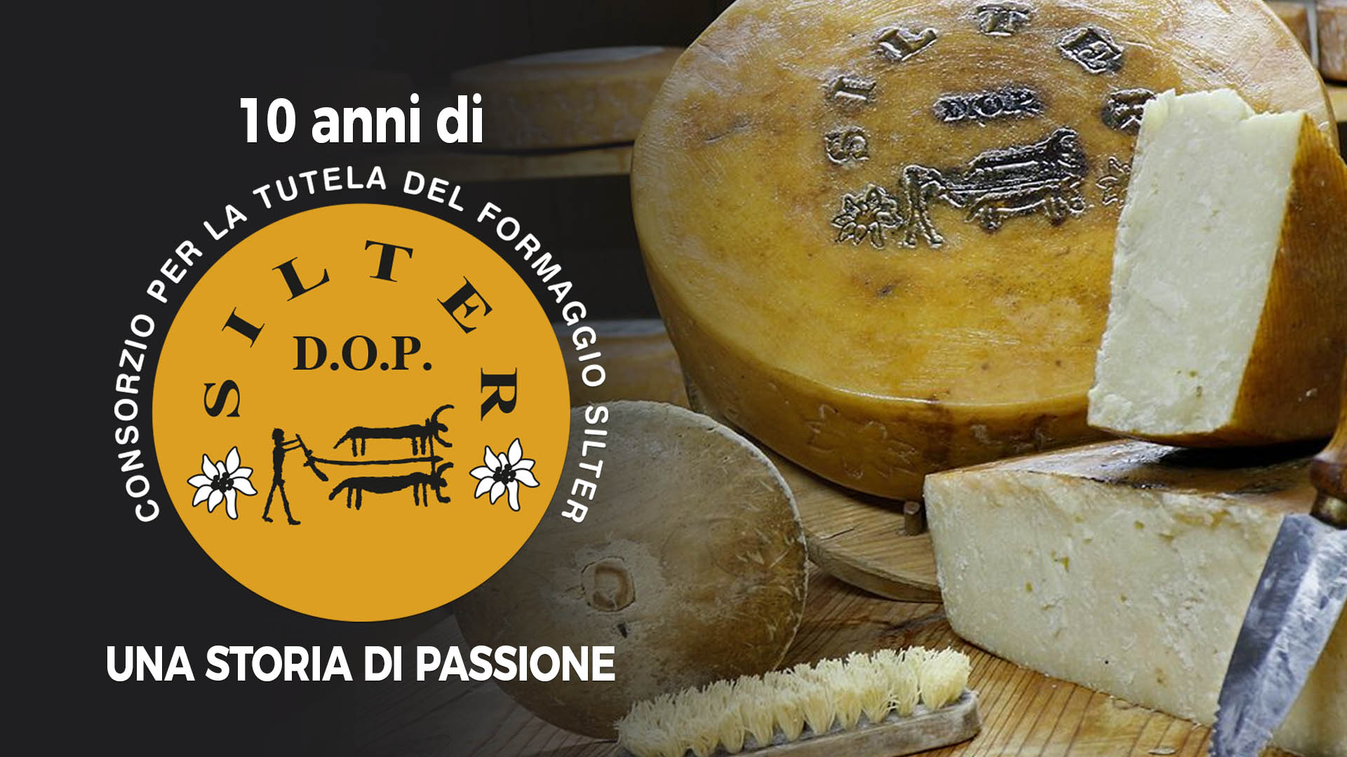 10 anni di Silter D.O.P. Una storia di passione.